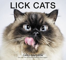 Lick Cats : Photography by Carli Davidson - Hardcover Pets Book