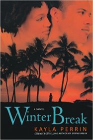 Winter Break : A Novel in Trade Paperback by Kayla Perrin