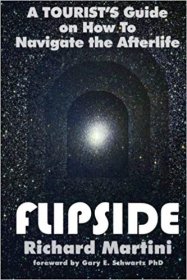 FlipSide : A Tourist's Guide on How to Navigate the Afterlife by Richard Martini - Paperback