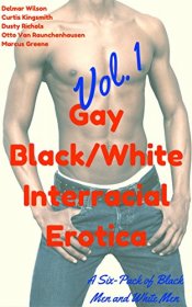 Gay Black/White Interracial Erotica, Vol. 1: A Six-Pack of Black Men and White Men - Paperback