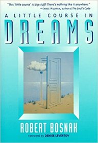 A Little Course in Dreams by Robert Bosnak Paperback Nonfiction