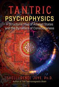 Tantric Psychophysics by Shelli Renee Joye, Ph.D. Paperback Nonfiction