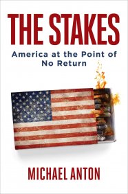 The Stakes : America at the Point of No Return by Michael Anton - Hardcover Nonfiction Politics