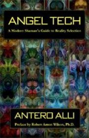 Angel Tech : A Modern Shaman's Guide to Reality Selection 3rd Edition by Antero Alli - Paperback