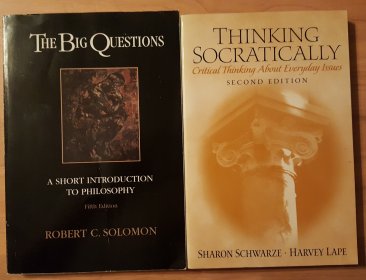 The Big Questions by Robert C. Solomon - Paperback USED Philosophy