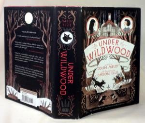 Under Wildwood by Colin Meloy - Hardcover Fantasy Fiction