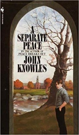 A Separate Peace by John Knowles - Paperback USED Classics