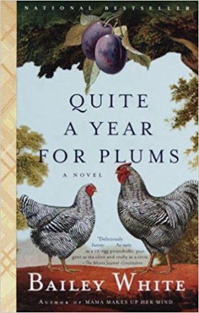 Quite a Year for Plums by Bailey White - Paperback Fiction