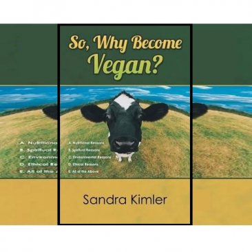 So, Why Become Began? by Sandra Kimler - Paperback Nonfiction