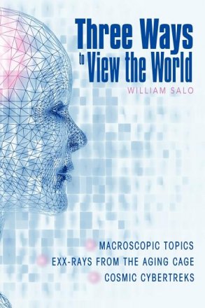 Three Ways to View the World by William Salo - Paperback Philosophy