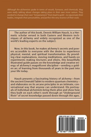 Sorcerer's Stone : A Beginner's Guide to Alchemy by Dennis William Hauck - Paperback 2nd Edition