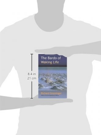 The Bardo of Waking Life by Richard Grossinger - Paperback Nonfiction