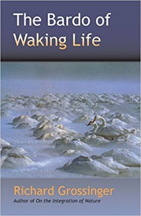 The Bardo of Waking Life by Richard Grossinger - Paperback Nonfiction