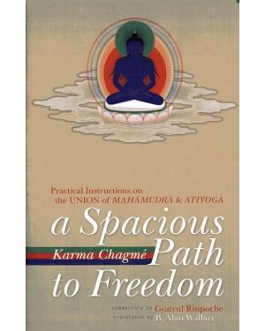 A Spacious Path to Freedom : The Union of Mahamudra and Atiyoga by Gyatrul Rinpoche - Paperback