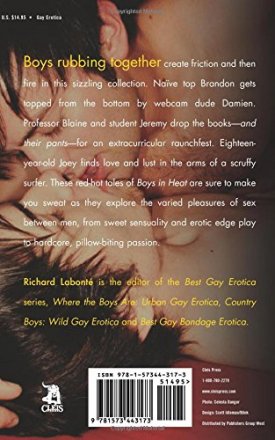 Boys In Heat : Gay Erotic Stories by Richard Labonté, editor - Paperback
