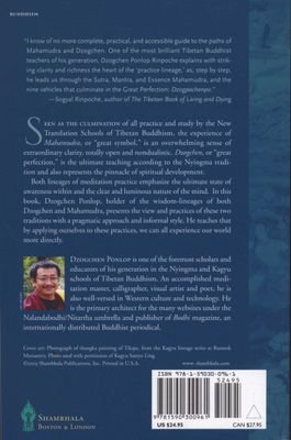 Wild Awakening : The Heart of Mahamudra and Dzogchen - Paperback Tibetan Buddhism