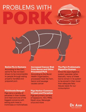 What God Said About Eating Pork (Just Don't Do It!) - Issues for Muslim / Christian Dialogue