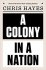 A Colony in a Nation by Chris Hayes - Hardcover Nonfiction