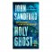 Holy Ghost : A Virgil Flowers Novel by John Sandford - Paperback USED Like New