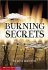 Burnings Secrets : A Stone Arch Mystery by Steve Brezenoff - YA Paperback USED