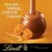 Lindt LINDOR Caramel Milk Chocolate Truffles, 60 Count Box