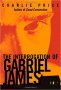 The Interrogation of Gabriel James by Charlie Price - Hardcover