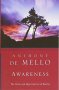 Awareness : The Perils and Opportunities of Reality by Anthony De Mello - Paperback
