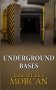 Underground Bases : Subterranean Military Facilities and the Cities Beneath Our Feet by James and Lance Morcan