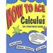 How to Ace Calculus : The Streetwise Guide - Paperback