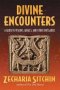 Divine Encounters : A Guide to Visions, Angels, and Other Emissaries by Zecharia Sitchin - Hardcover