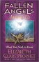Fallen Angels Among Us : What You Need to Know by Elizabeth Clare Prophet - Paperback