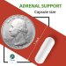 Adrenal Support - Cortisol Manager - A complex formula containing Vitamin B12, B5, B6, Magnesium, Ginger Root Extract, Ashwagandha, Schizandra Berry, Licorice & more