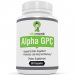 Alpha GPC Capsules by VitaMonk™ - Bioavailable Choline Supplement to Support Brain Cognition - 60 Alpha-GPC 325mg Capsules