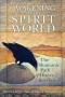 Awakening to the Spirit World: The Shamanic Path of Direct Revelation by Sandra Ingerman and Hank Wesselman - Paperback