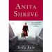 Stella Bain by Anita Shreve - Paperback